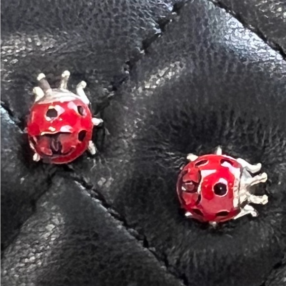 ON HOLD❌Rare🐞🐞Chanel Classic Ladybug Quilted Lambskin Medium Flap Bag - Picture 4 of 13